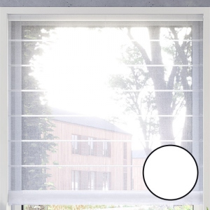 Transparentna
