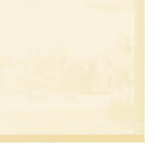 KB-002 kremowy - przezroczysty