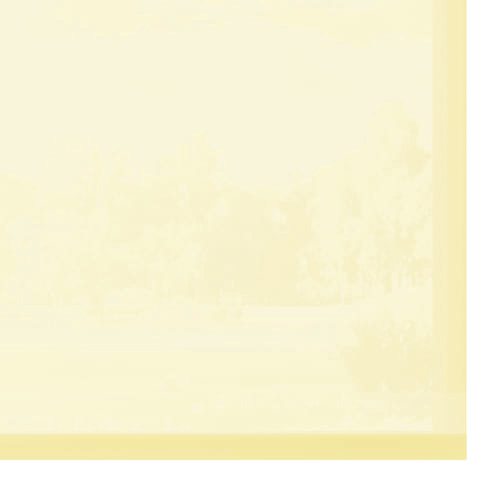 KB-003 ecru - przezroczysty